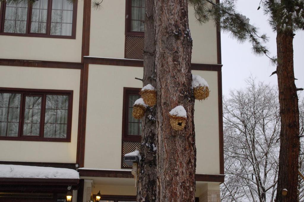 Diamond Park Hotel Safranbolu Exterior photo